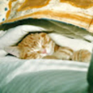 Meet your Posher, Kristen